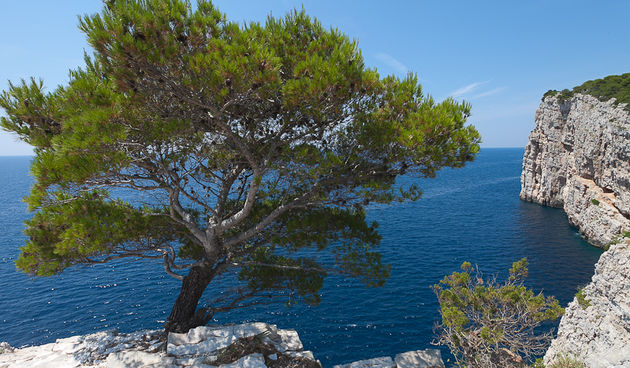 Posjeta NP Kornati i PP Telašćica, foto: Darko Belančić