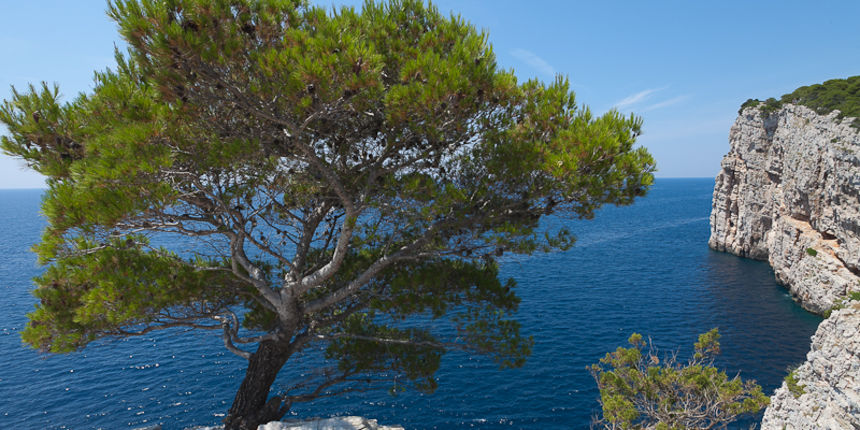 Posjeta NP Kornati i PP Telašćica, foto: Darko Belančić Posjeta NP Kornati i PP Telašćica, foto: Darko Belančić