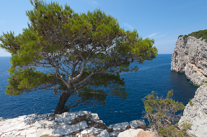 Posjeta NP Kornati i PP Telašćica, foto: Darko Belančić Posjeta NP Kornati i PP Telašćica, foto: Darko Belančić