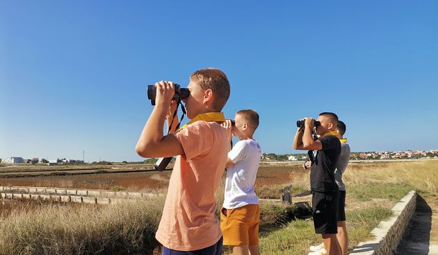 Svjetski dan promatranja ptica