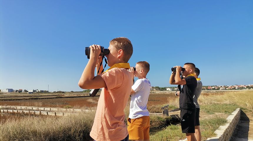 Svjetski dan promatranja ptica