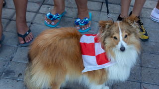 Veličanstven doček četvorice zadarskih Vatrenih od Gradskog mosta do Foruma
