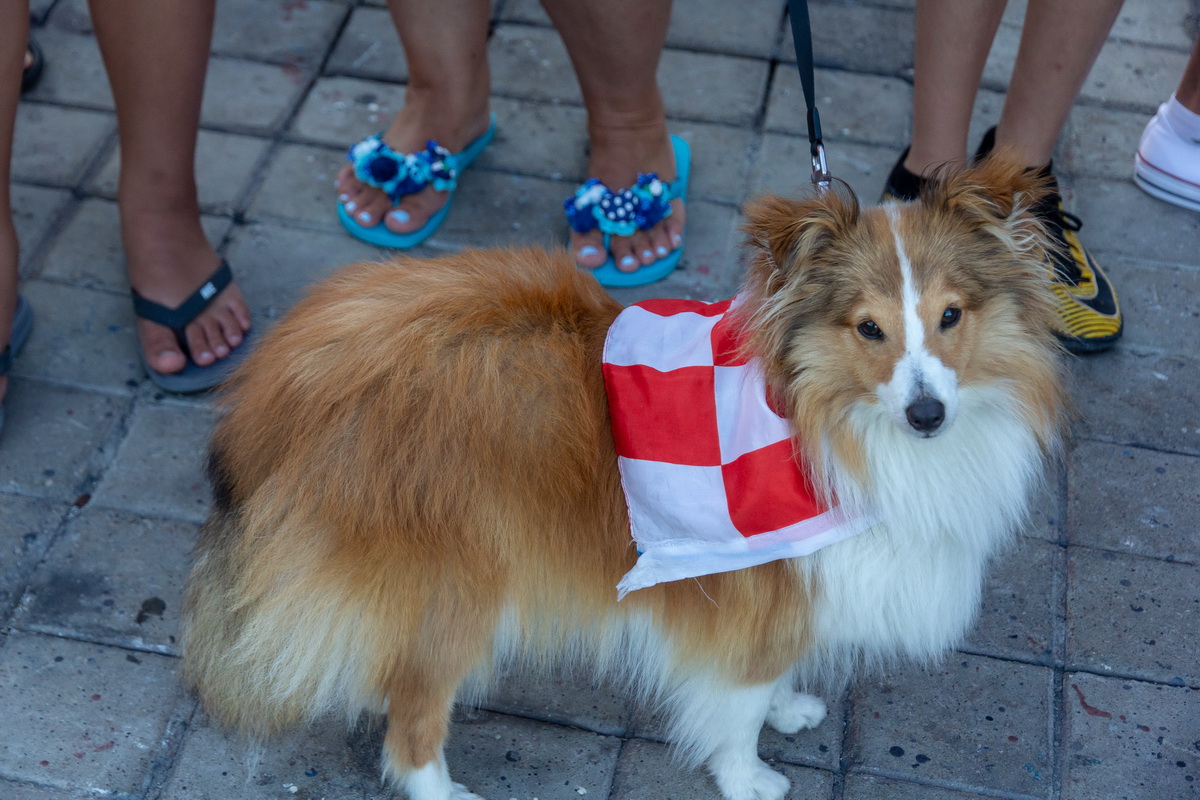Veličanstven doček četvorice zadarskih Vatrenih od Gradskog mosta do Foruma