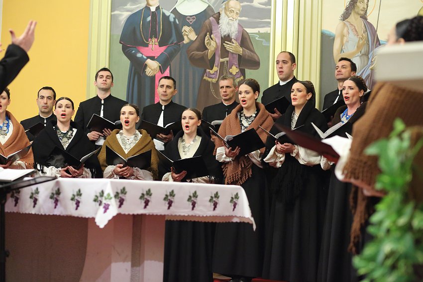 (V)Ladari i (V)Ladarice folklorne scene u Hrvatskoj još jednom oduševili Bibinjce. Foto: Leo Banić