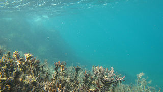 OLYMPUS DIGITAL CAMERA OLYMPUS DIGITAL CAMERA