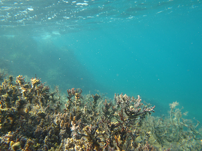 OLYMPUS DIGITAL CAMERA OLYMPUS DIGITAL CAMERA