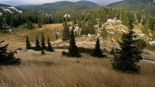 Nedjelja na Zavizanu