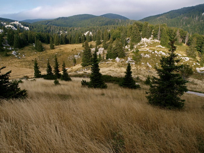 Nedjelja na Zavizanu