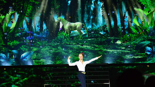 Lord of the dance, foto:Iva Perinčić Lord of the dance, foto:Iva Perinčić