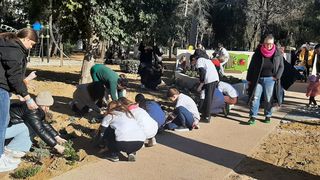 Volonteri uljepšali park Vruljica sadnjom cvijeća