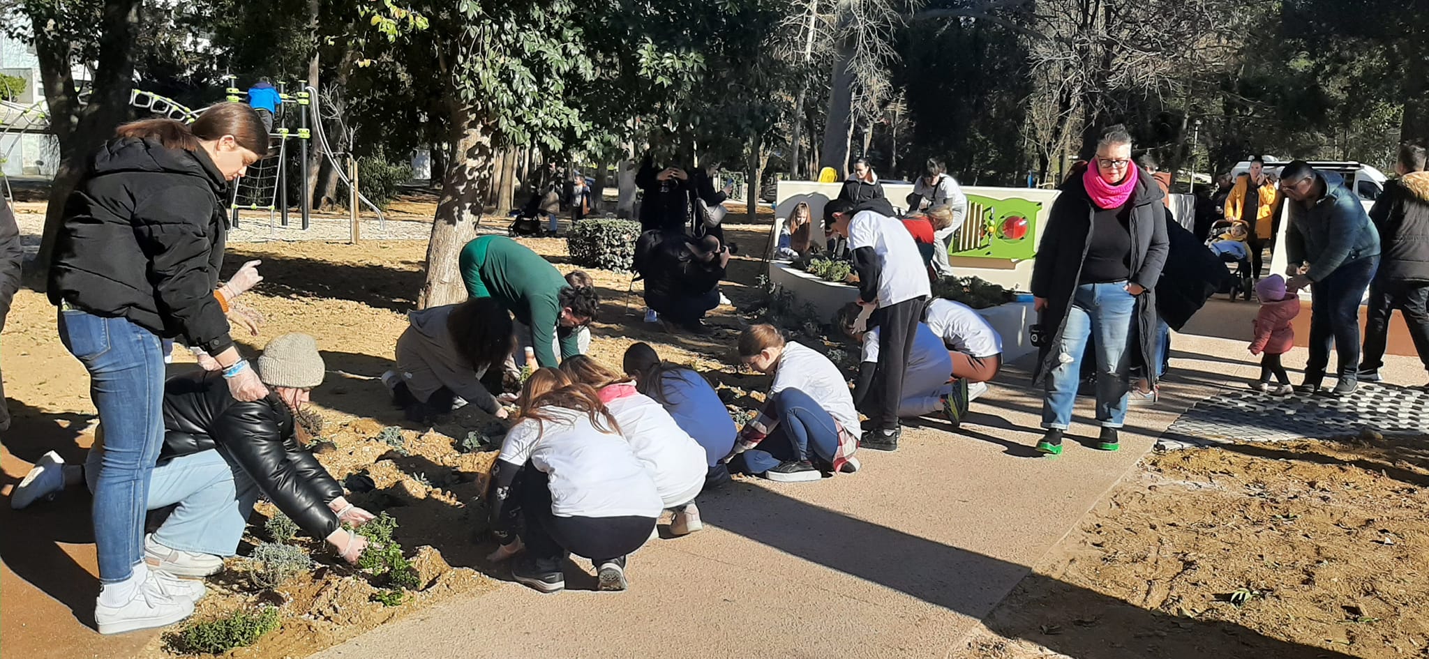 Volonteri uljepšali park Vruljica sadnjom cvijeća