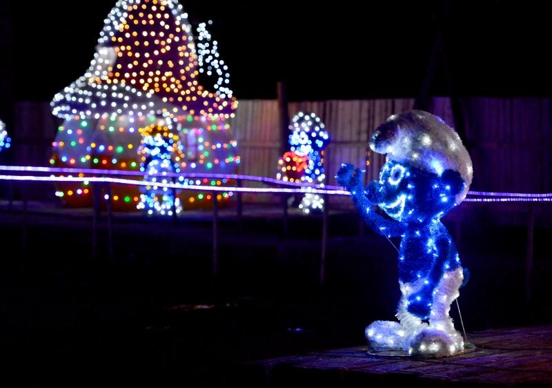 24.12.2014., Cazma, Grabovnica – Obitelj Salaj svoje imanje ukrasila je s milijun i petsto tisuca lampica povodom Bozicnih i Noogodisnjih blagdana. Bozicnu pricu svake godine posjecuju mnogobrojni turisti. Photo: Marko Prpic/PIXSELL