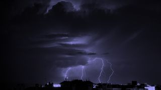 Image 1181561 (auto)