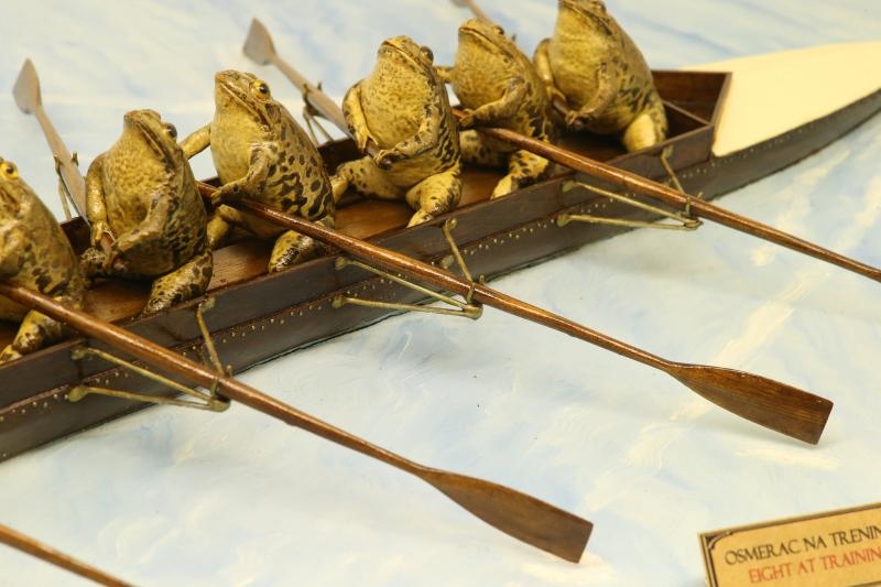 Zbirka od 500-tinjak prepariranih zaba u ljudskim situacijama, smjestena u bivsem kinu Tesla, prema rijecima vlasnika Ivana Medveseka, ne naliazi na dovoljno zanimanje institucija RH pa bi uskoro trebala preseliti u London. Photo: Ivo Cagalj/PIXSELL Zbirka od 500-tinjak prepariranih zaba u ljudskim situacijama, smjestena u bivsem kinu Tesla, prema rijecima vlasnika Ivana Medveseka, ne naliazi na dovoljno zanimanje institucija RH pa bi uskoro trebala preseliti u London. Photo: Ivo Cagalj/PIXSELL