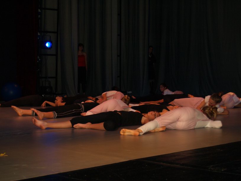 Plesno kazalisna udruga Zalet