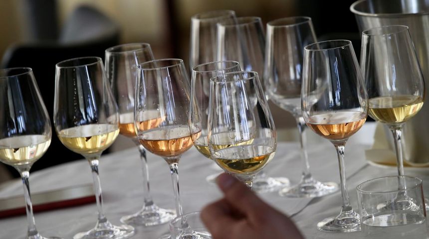 vino alkohol vinkovo