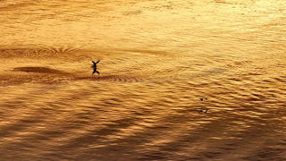 Spektakularni zalasci sunca u veljači, Foto: Leonard Kvarantan Spektakularni zalasci sunca u veljači, Foto: Leonard Kvarantan