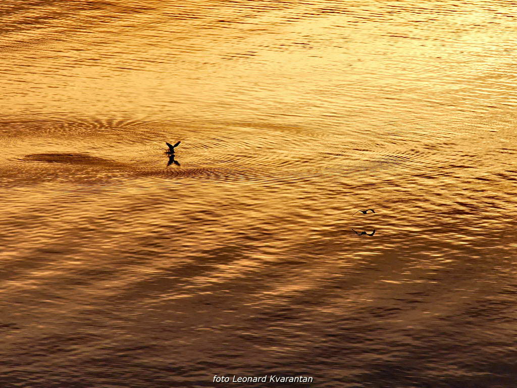 Spektakularni zalasci sunca u veljači, Foto: Leonard Kvarantan Spektakularni zalasci sunca u veljači, Foto: Leonard Kvarantan