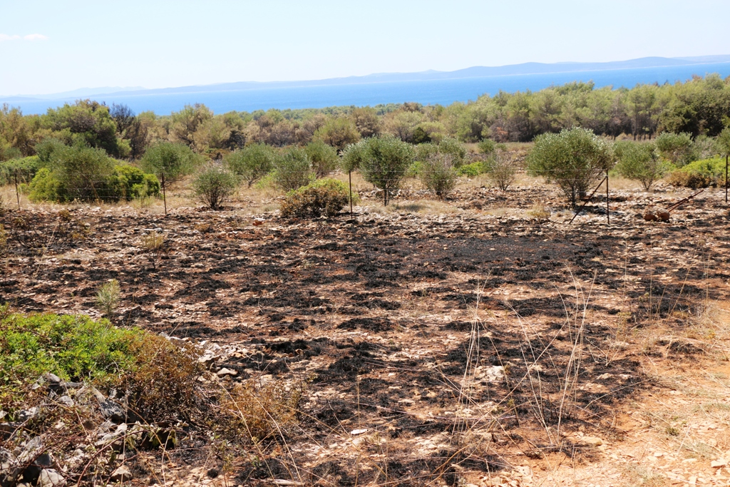 Vir: Požar u Lozicama u potpunosti ugašen Vir: Požar u Lozicama u potpunosti ugašen