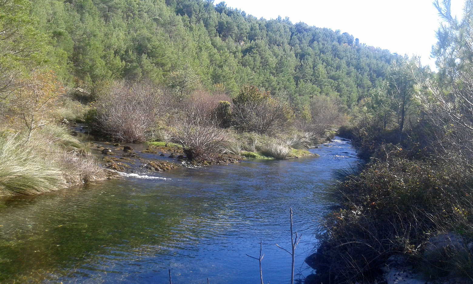 Krška rijela Karišnica. Foto: Edvard Šprljan Krška rijela Karišnica. Foto: Edvard Šprljan
