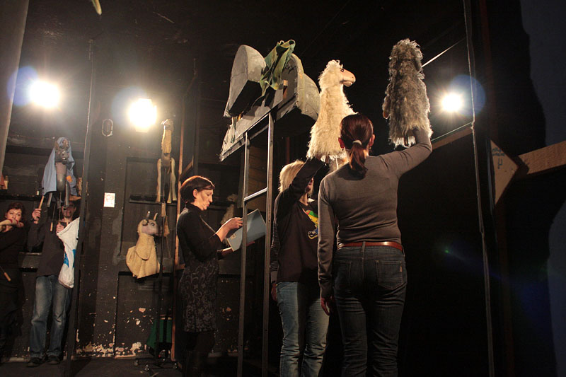 Betlehemska ovčica Betlehemska ovčica