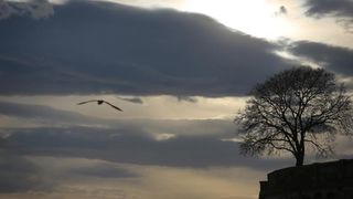 Predvečerje u Zadru 6. ožujka 2014.  Foto: Filip Brala/PIXSELL