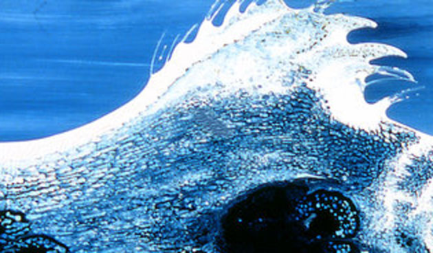 HVIDRa najveća slika Siroglavic, val