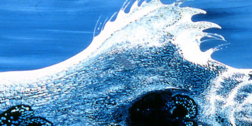 HVIDRa najveća slika Siroglavic, val HVIDRa najveća slika Siroglavic, val