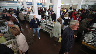 Đir po pešakariji 6. travnja 2012. (foto:Saša Čuka) Đir po pešakariji 6. travnja 2012. (foto:Saša Čuka)