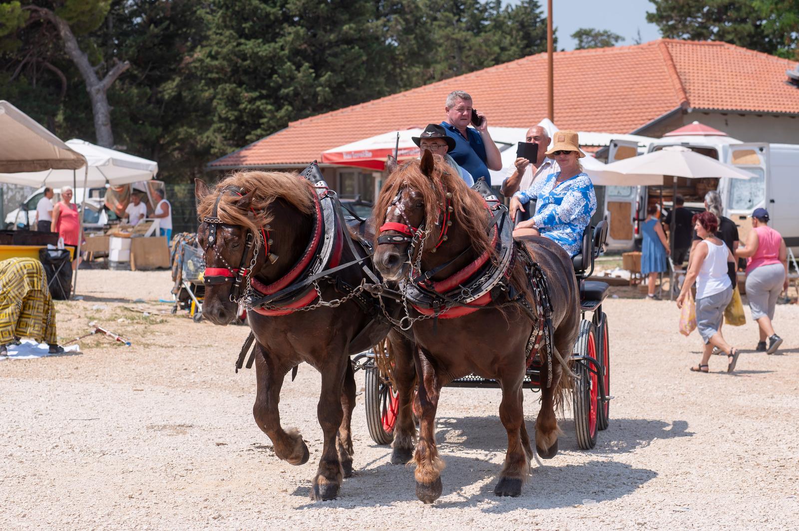Benkovački sajam u objektivu Dina Stanina