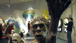 Krapina, 080210.
Novi Muzej krapinskog pracovjeka zavrsen je na svjetski poznatom lokalitetu Husnjakovo u Krapini. Krapinski je pracovjek proslavio hrvatsku znanost diljem svijeta.
Na slici: izlozak u muzeju.
Foto: Damir Krajac / CROPIX