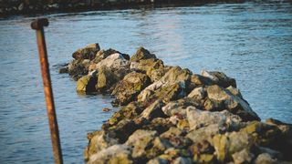 Đir po Sutomišćici Đir po Sutomišćici