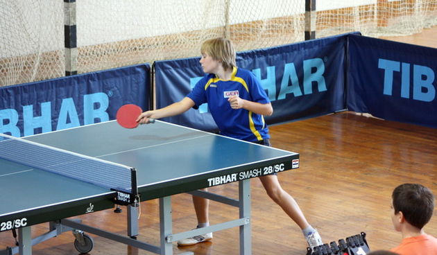 VII Stolnoteniski Memorijal “Barba Tomo Amizic”, Foto. Mladen Malik