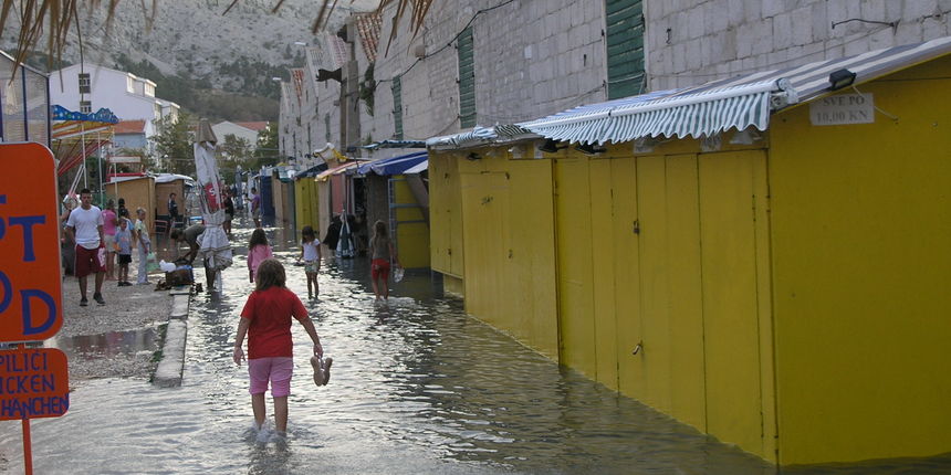 OLYMPUS DIGITAL CAMERA OLYMPUS DIGITAL CAMERA