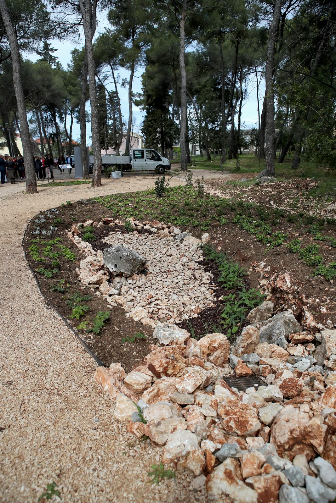 U Vruljici uređen Kišni vrt U Vruljici uređen Kišni vrt