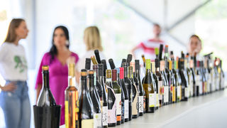 U Bedenici svečano otvoren prvi Eco-Wine Fest uz koncerte Vatre i Soul Fingersa