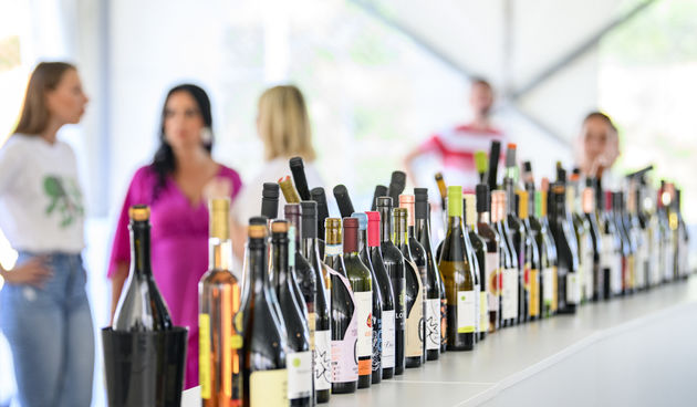 U Bedenici svečano otvoren prvi Eco-Wine Fest uz koncerte Vatre i Soul Fingersa