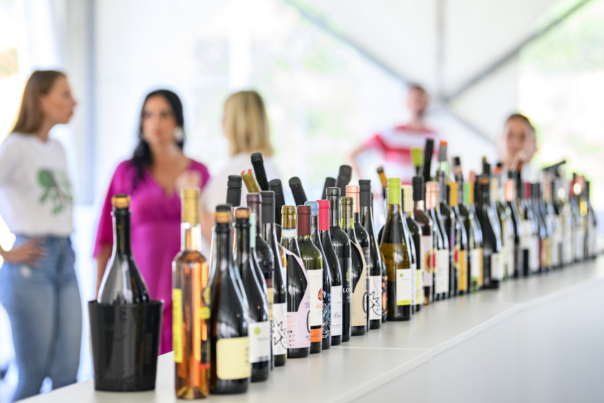 U Bedenici svečano otvoren prvi Eco-Wine Fest uz koncerte Vatre i Soul Fingersa