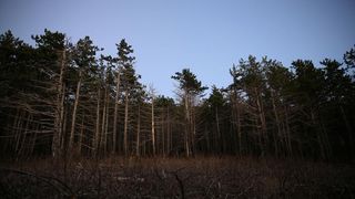 16.03.2014., Juzni Velebit – Topljenje snijega na Juznom Velebitu i procvjetani prvi planinski cvjetovi u ranom proljecu najavljuju skorasnje toplije vrijeme. Photo: Filip Brala/PIXSELL Autor Filip Brala/PIXSELL Ključne riječi rekreacija, planina, pro 16.03.2014., Juzni Velebit – Topljenje snijega na Juznom Velebitu i procvjetani prvi planinski cvjetovi u ranom proljecu najavljuju skorasnje toplije vrijeme. Photo: Filip Brala/PIXSELL Autor Filip Brala/PIXSELL Ključne riječi rekreacija, planina, pro