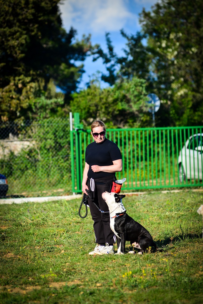 Kinološka udruga Malinois