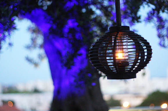 Otvorenje terase Callista Bara Otvorenje terase Callista Bara