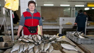 S pjace i peskarije, 24. prosinca 2010., Foto: Leo Banic