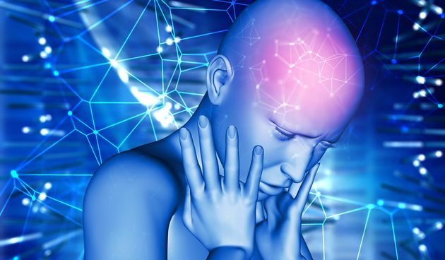 Mozak, inteligencija