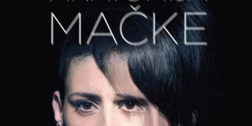 Anatomija mačke Anatomija mačke