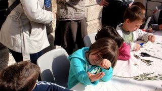 Radionica pletenja maslinovih grančica, foto: Karla Šorić Radionica pletenja maslinovih grančica, foto: Karla Šorić