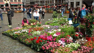 Đir centrom Bruxellesa. Foto: Edvard Šprljan Đir centrom Bruxellesa. Foto: Edvard Šprljan