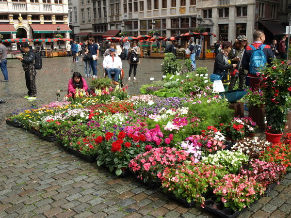 Đir centrom Bruxellesa. Foto: Edvard Šprljan Đir centrom Bruxellesa. Foto: Edvard Šprljan