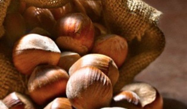 Lješnjaci (Tportal.hr)