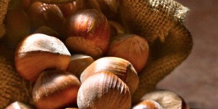 Lješnjaci (Tportal.hr)