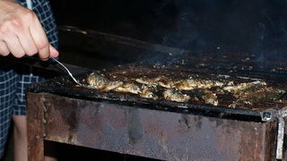 Humanitarni turnir u basketu “Pomaganje je uvijek IN”